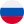 Russian Flag